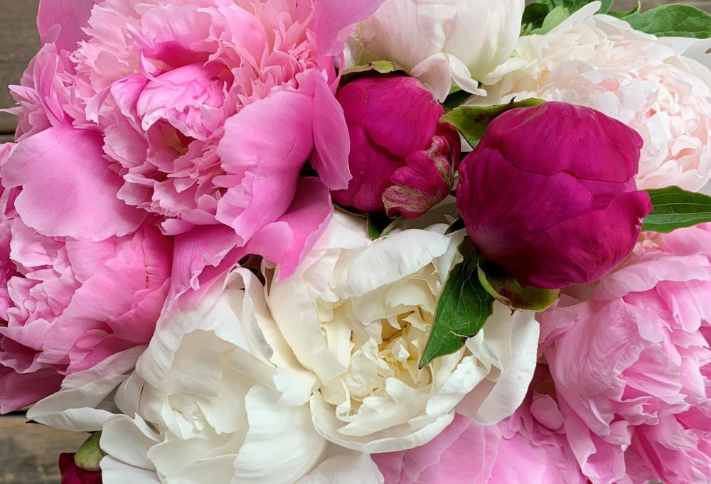 Peony Assortment