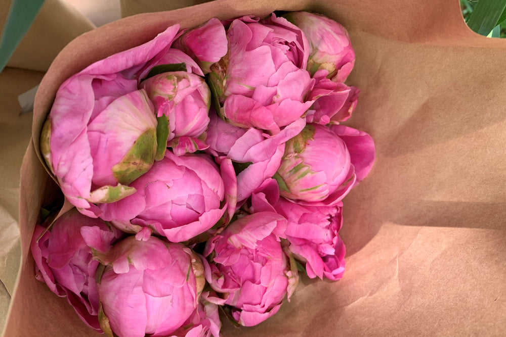 Pink 10 Stem Bouquet