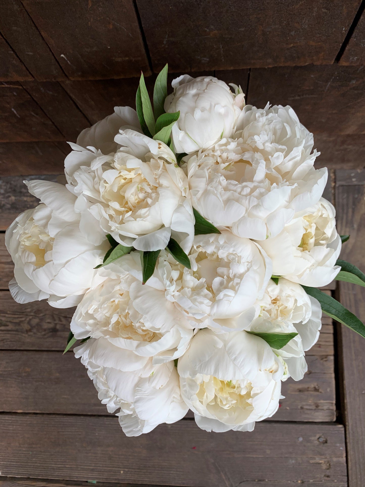 
                  
                    White 10 Stem Bouquet
                  
                