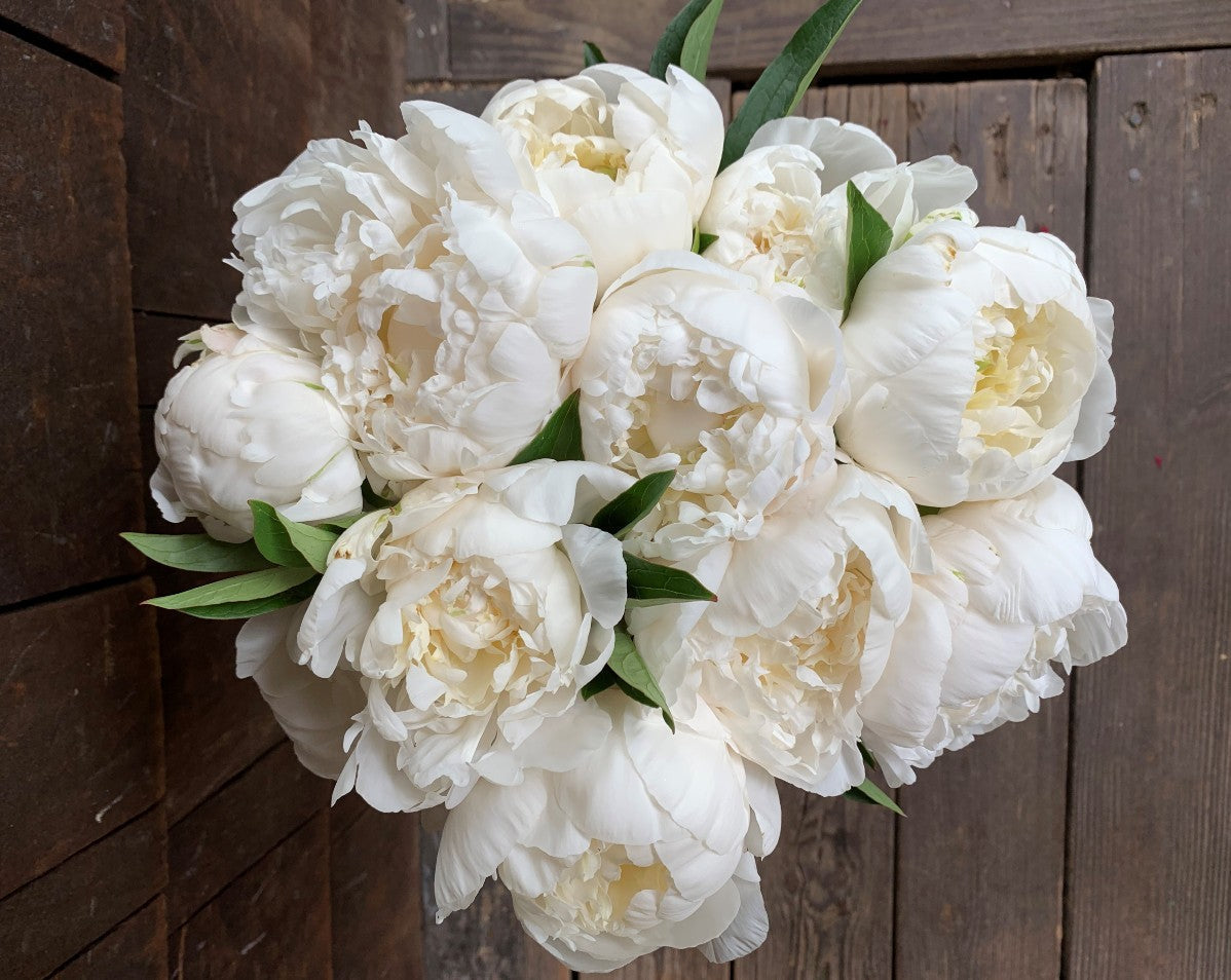 
                  
                    White 10 Stem Bouquet
                  
                