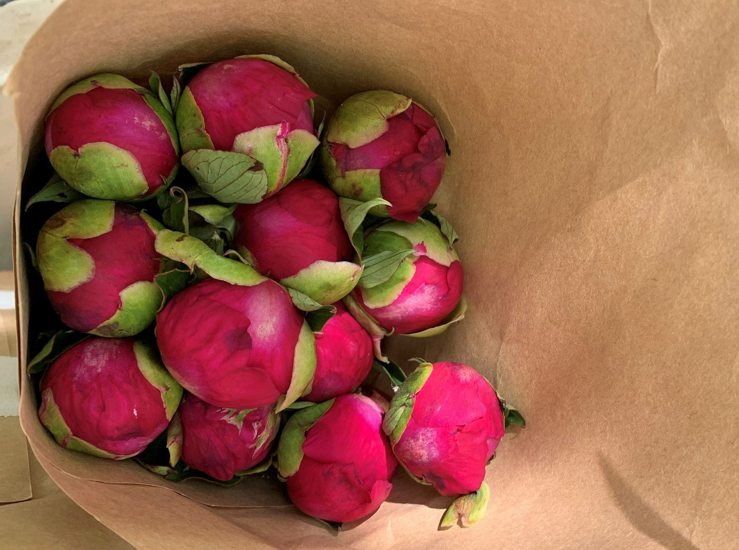 
                  
                    Fresh Cut Peony Bouquet, Free Shipping!
                  
                