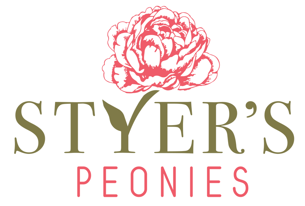 Styer's Peonies