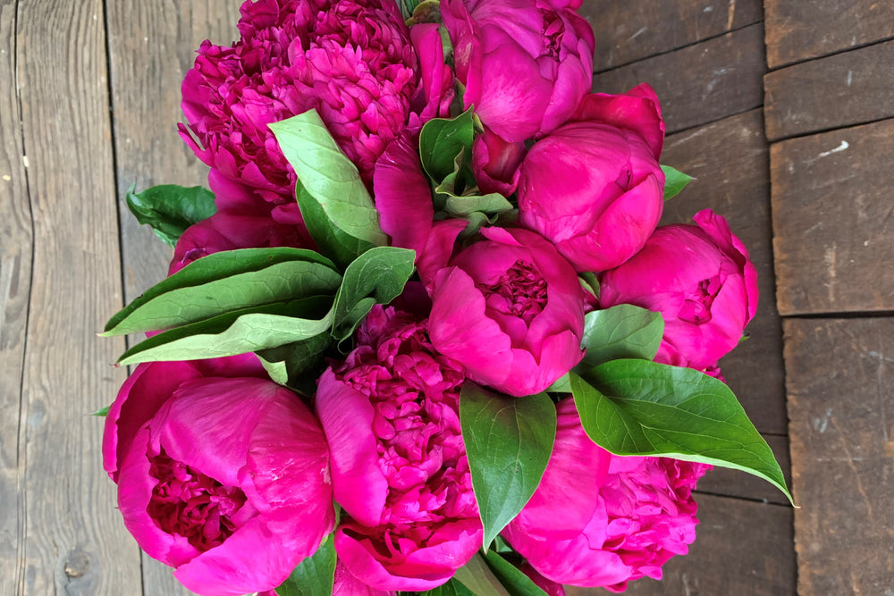 
                  
                    10 Stem Bouquet for Pre-Mother's day Free Shipping!
                  
                